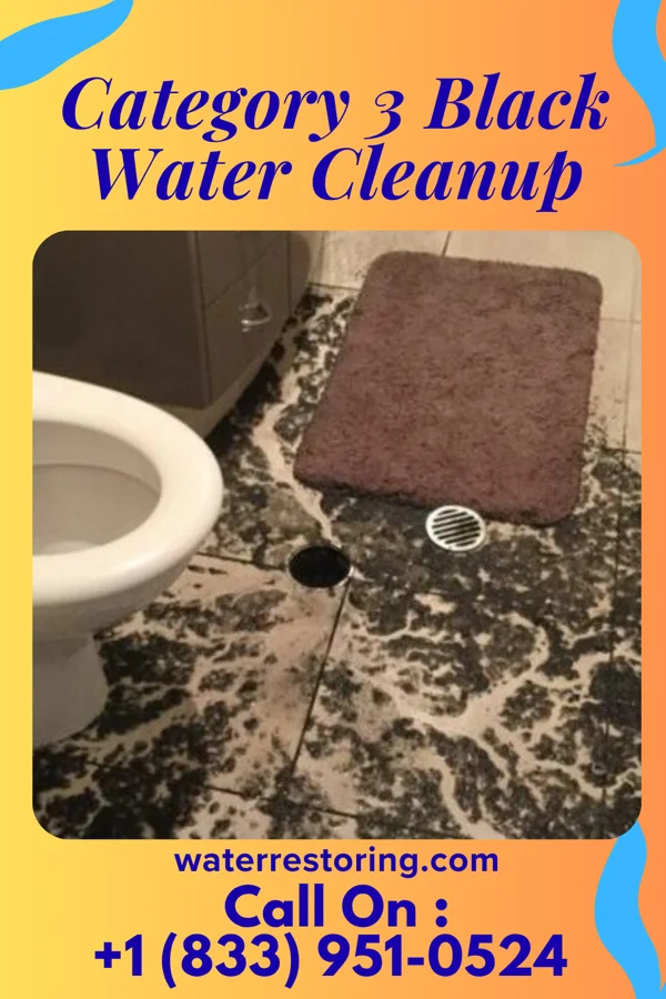 Category 3 Black Water Cleanup in Paxville, SC